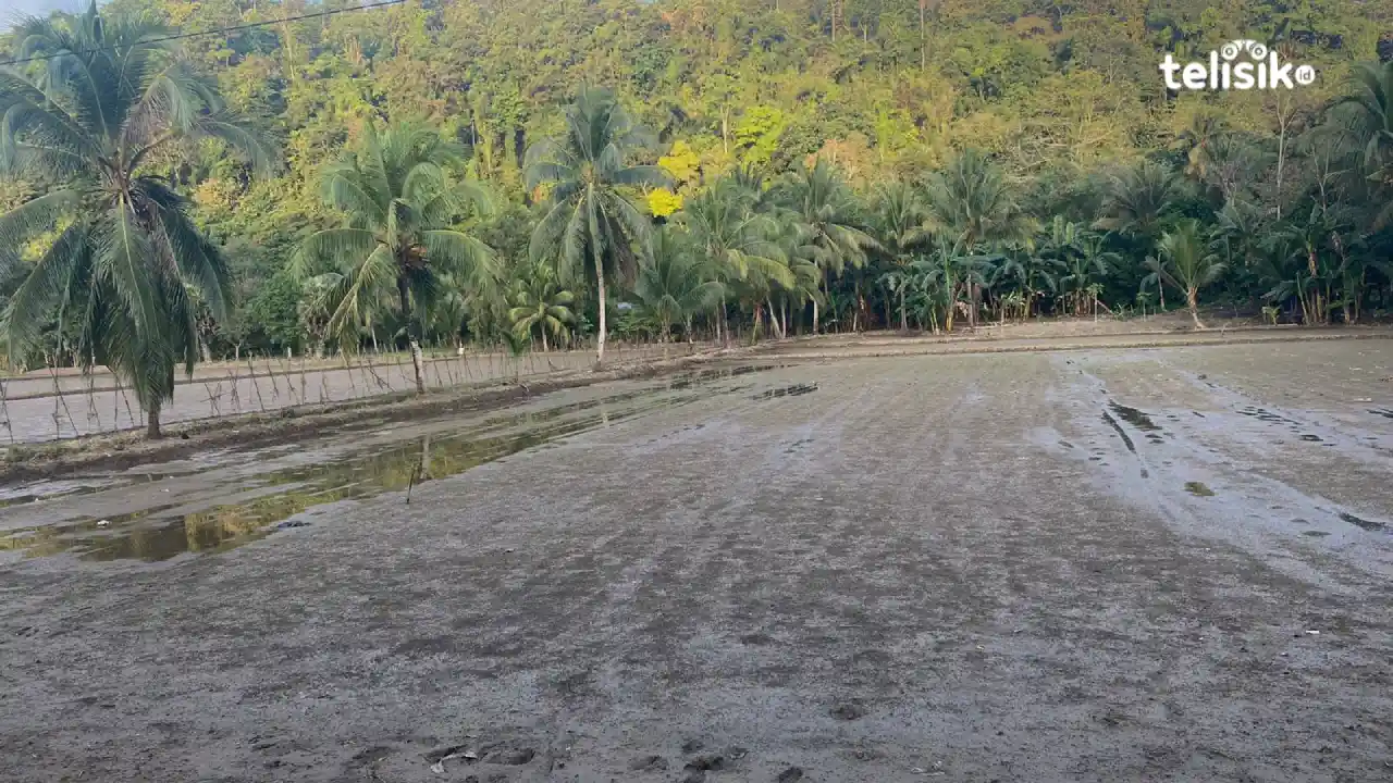 1,8 Ton Benih Padi Terendam Banjir di Baubau