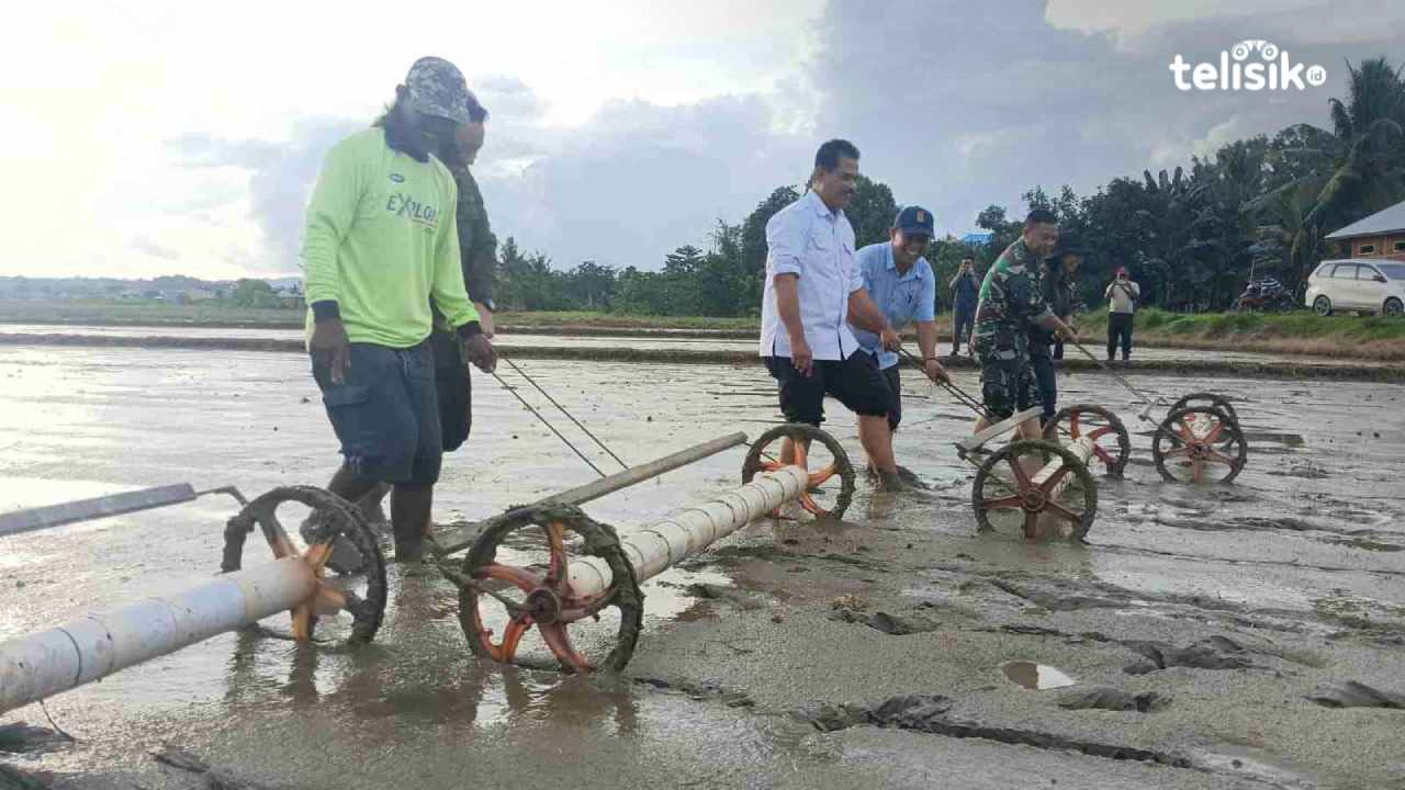 Pemprov Sulawesi Tenggara Dorong Percepatan Tanam 17.700 Hektare Sawah