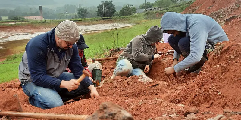 Fosil Dinosaurus Jutaan Tahun Berhasil Ditemukan Usai Hujan Deras di Brasil