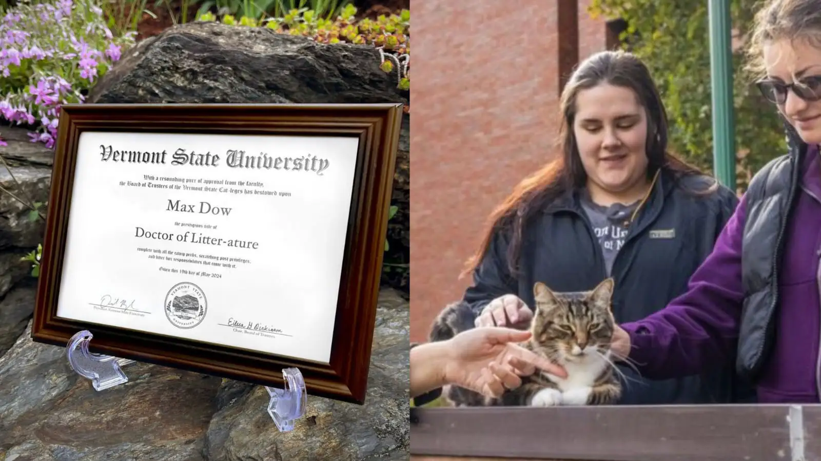 Kisah si Max Kucing Pertama di Dunia Dapat Gelar Doktor