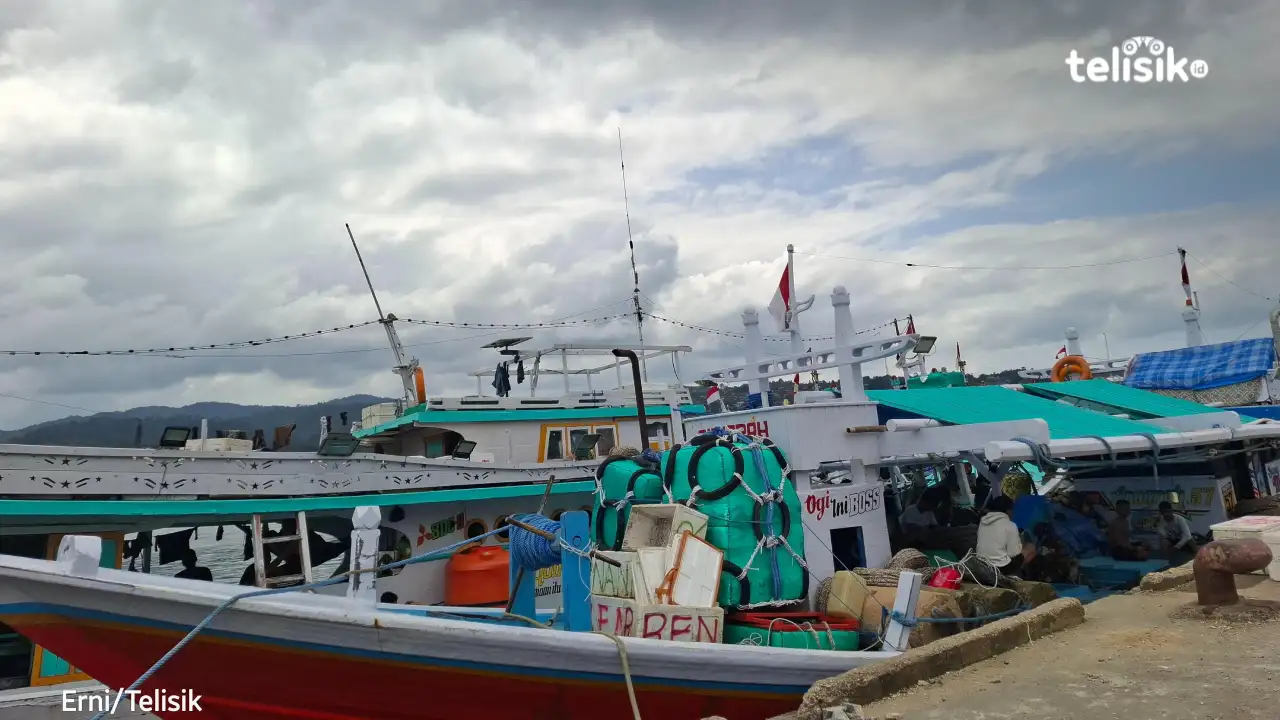 Nelayan di Kendari Alami Penurunan Hasil Tangkapan, Imbas Cuaca Buruk dan Gelombang Tinggi