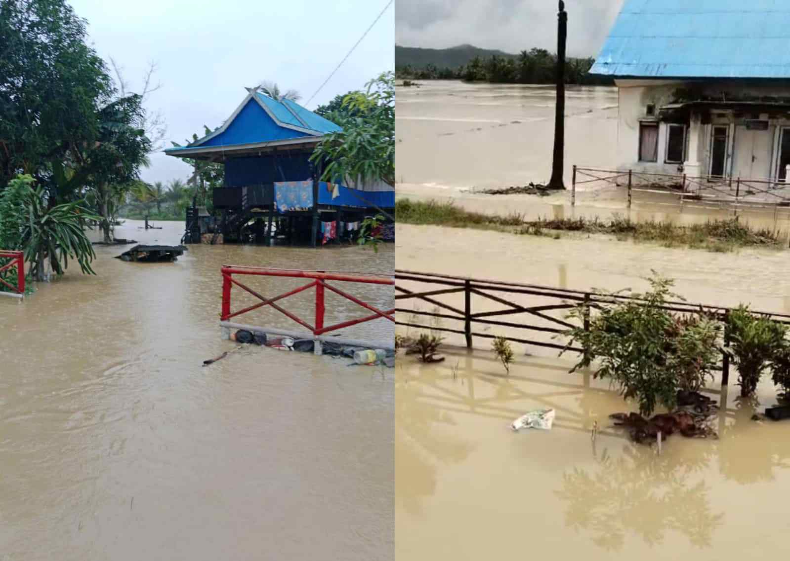 Puluhan Rumah dan Ratusan Hektare Sawah di Desa Anggoro Konawe Terendam Banjir