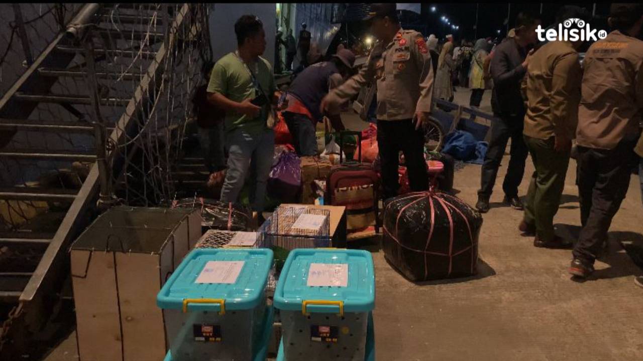 Puluhan Satwa Lindung Gagal Diselundupkan di Pelabuhan Murhum Baubau