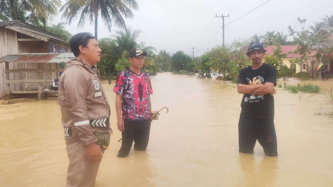 Sejumlah Wilayah di Kabupaten Konawe Terendam Banjir, Ratusan Rumah dan Sawah Terdampak