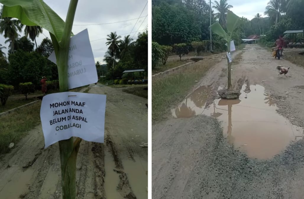 Tak Kunjung Dibenahi, Warga Kolaka Utara Tanam Pohon Pisang di Jalan Rusak