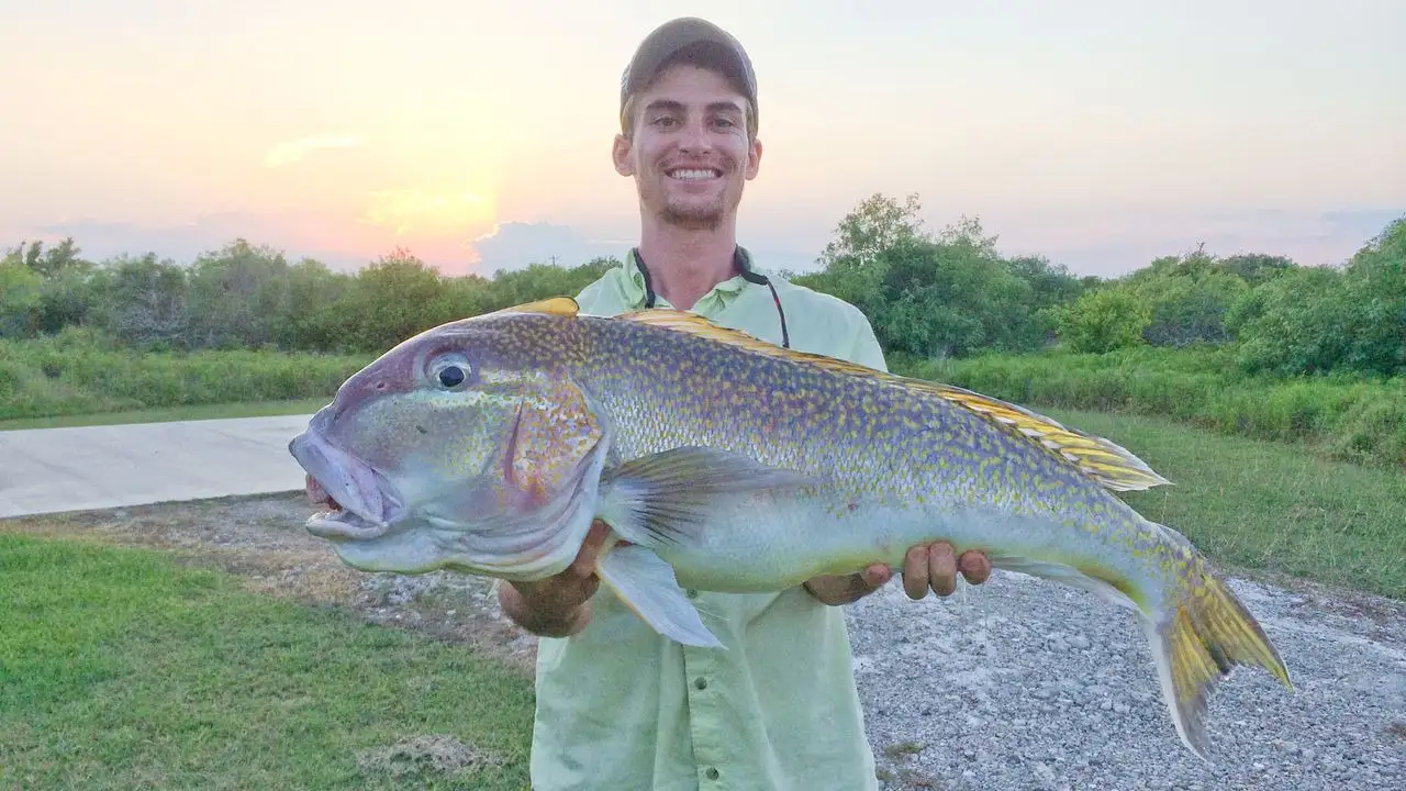 10 Jenis Ikan Mengandung Merkuri Bikin Rusak Otak