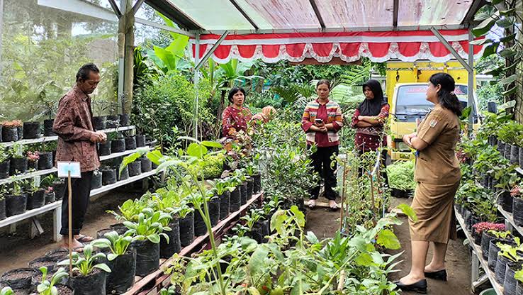 Atasi Stunting, Pemkot Kendari Berdayakan Kawasan Mandiri Pangan