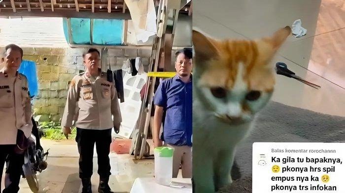 Bapak Kos Viral Makan Daging Kucing Obat Diabetes, Diobservasi Kejiwaannya