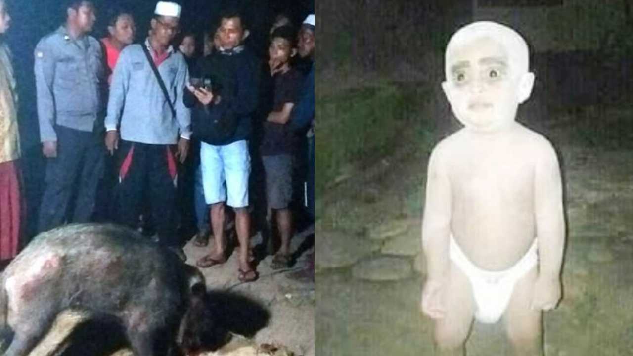 Begini Asal Cerita Tuyul dan Babi Ngepet Doyan Curi Uang