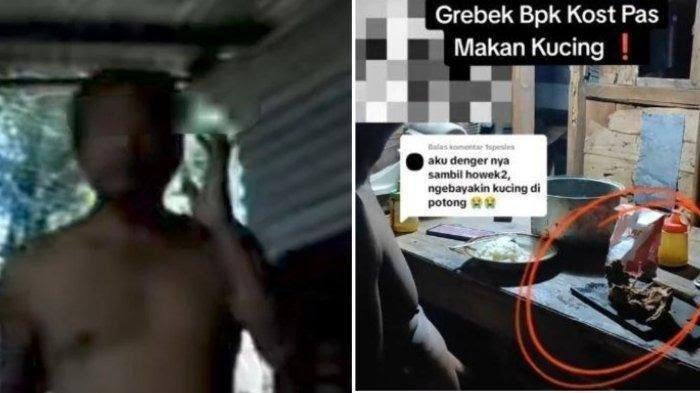 Viral, Seorang Bapak Kos Ngaku Sepuluh Kali Makan Kucing untuk Obat Diabetes