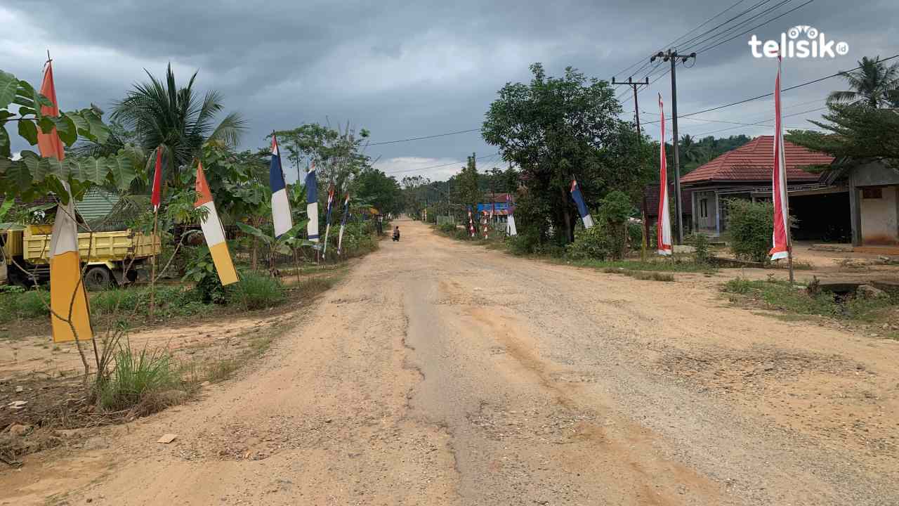 Warga Keluhkan Jalan Poros Motaha-Konawe Selatan Rusak Berat Sejak 2019