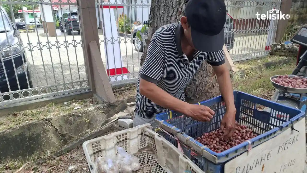 Cerita Seorang Pedagang di Pinggir Jalan Kota Kendari, Bisa Biayai Kuliah Dua Anaknya dari Jualan Bawang