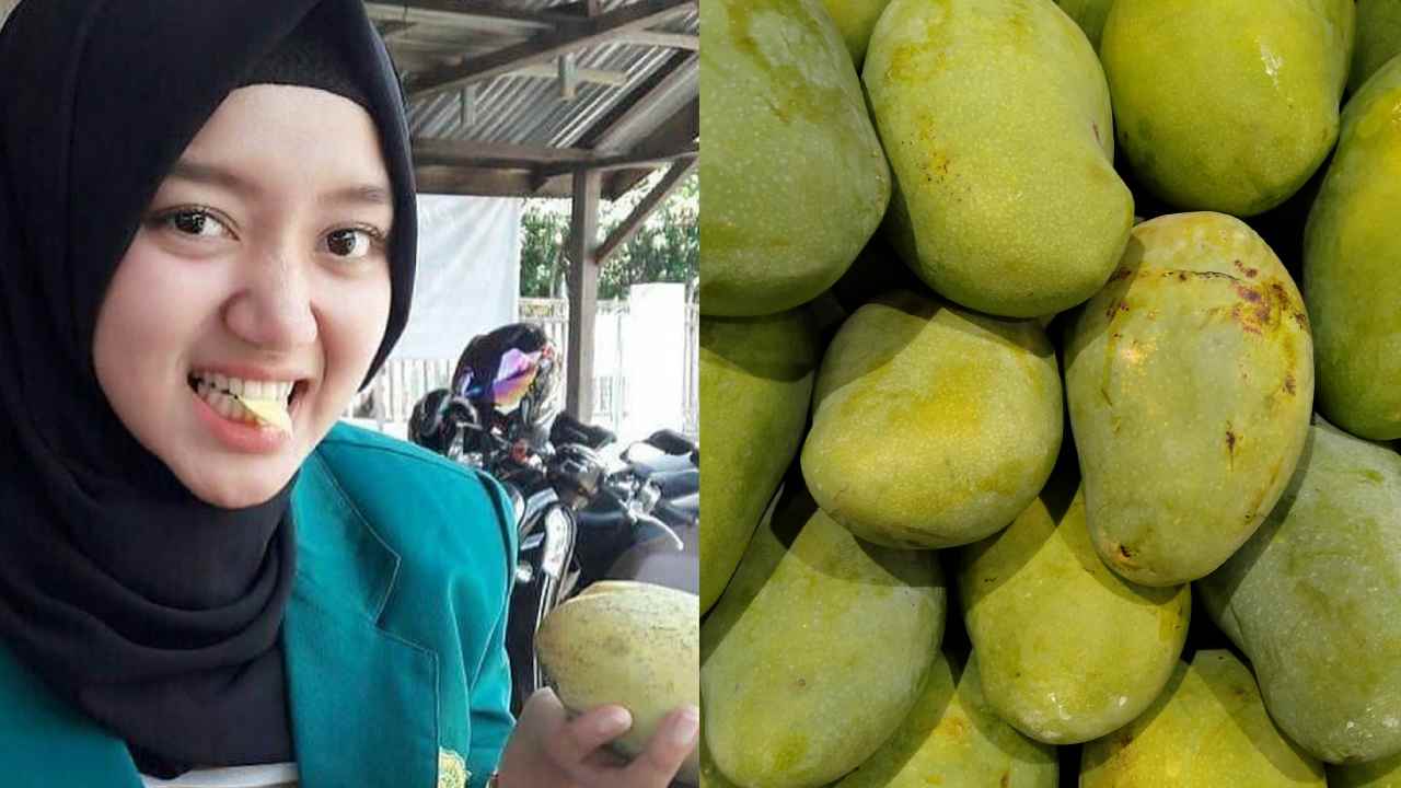 Empat Manfaat Tak Terduga dari Mangga, Diklaim Bikin Kulit Awet Muda