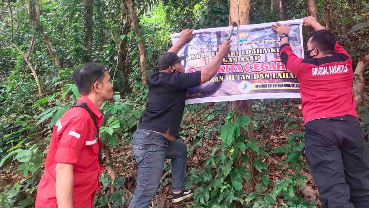 Puncak Musim Kemarau September 2024: Hutan Enam Kabupaten di Sultra Potensi Terbakar