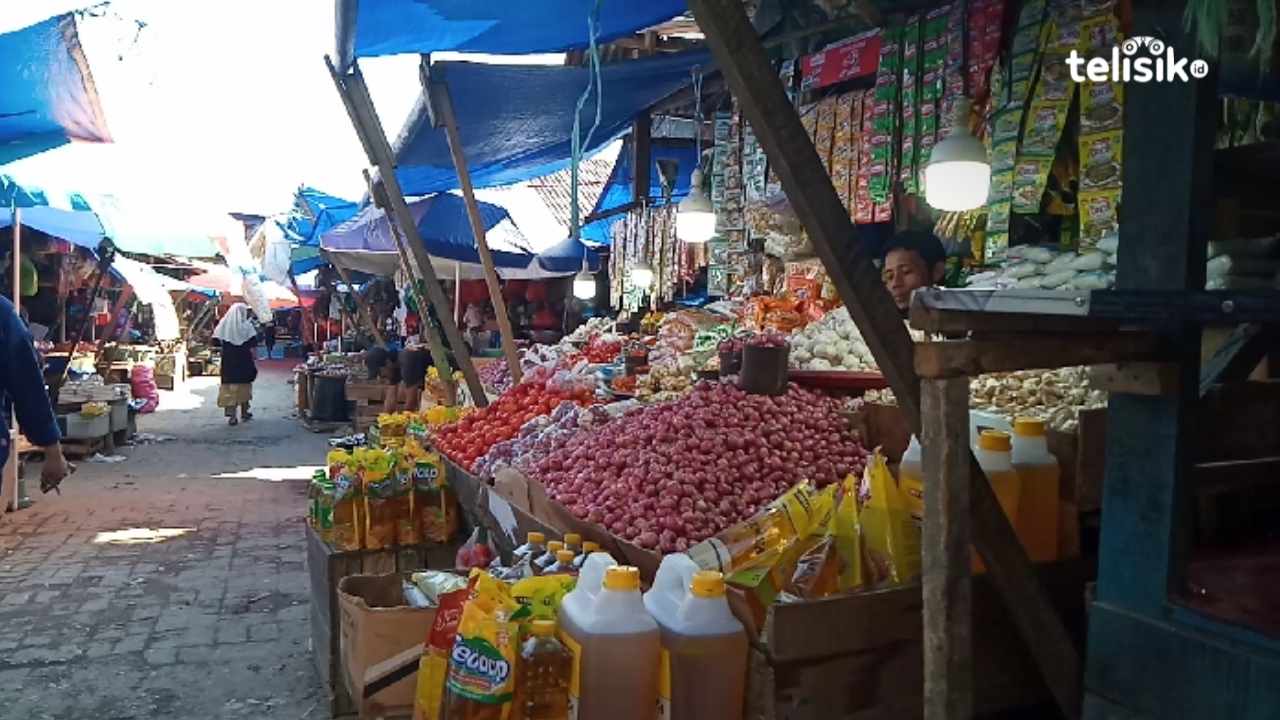 Sempat Melambung, Harga Tomat di Kota Kendari Kini Turun Dratis