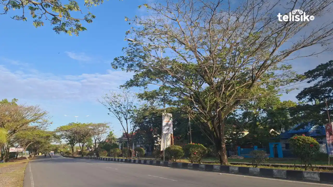 Daftar Daerah dengan Perkiraan Hujan Sedang hingga Lebat di Sulawesi Tenggara