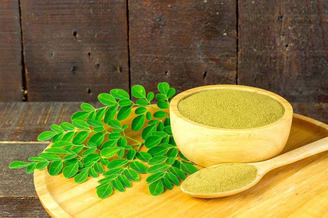 Daun Kelor Senjata Ampuh Turunkan Kolesterol dan Asam Urat