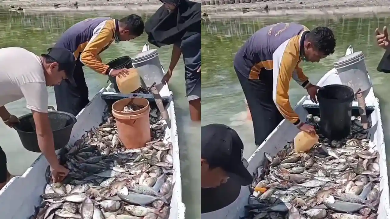 Kondisi Cuaca Baik, Hasil Tangkapan Nelayan Kaledupa Melimpah