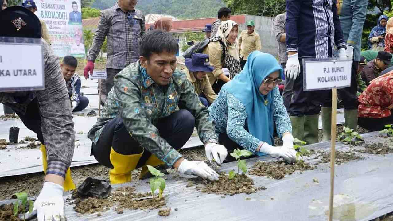 Pemkab Kolaka Utara Tanam 8 Komoditi Hortikultura di Lahan Tidur