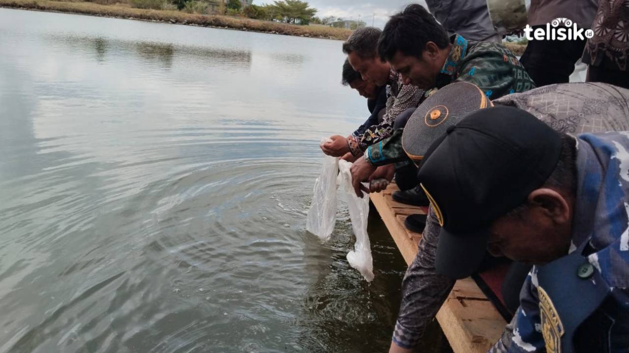 Pemkab Kolaka Utara Tebar Ribuan Benih Ikan untuk Konsumsi Masyarakat