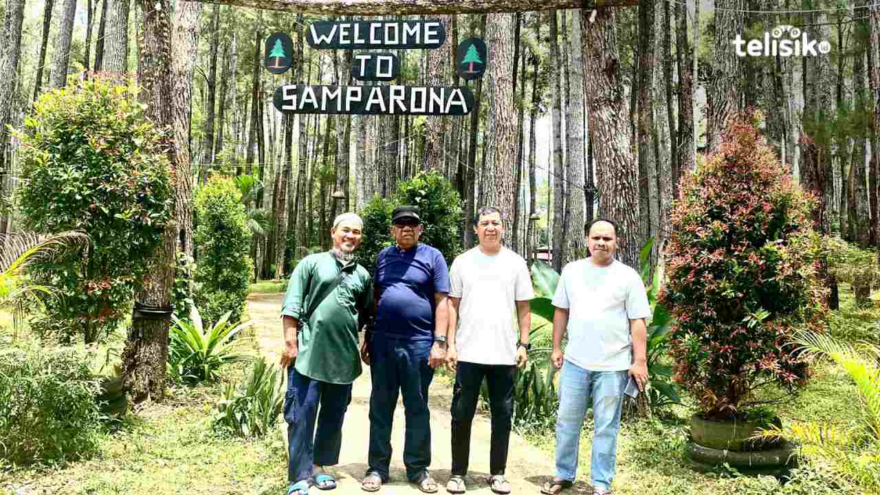 Wisata Hutan Pinus Samparona Baubau, Rekomendasi Tepat Foto Prewedding