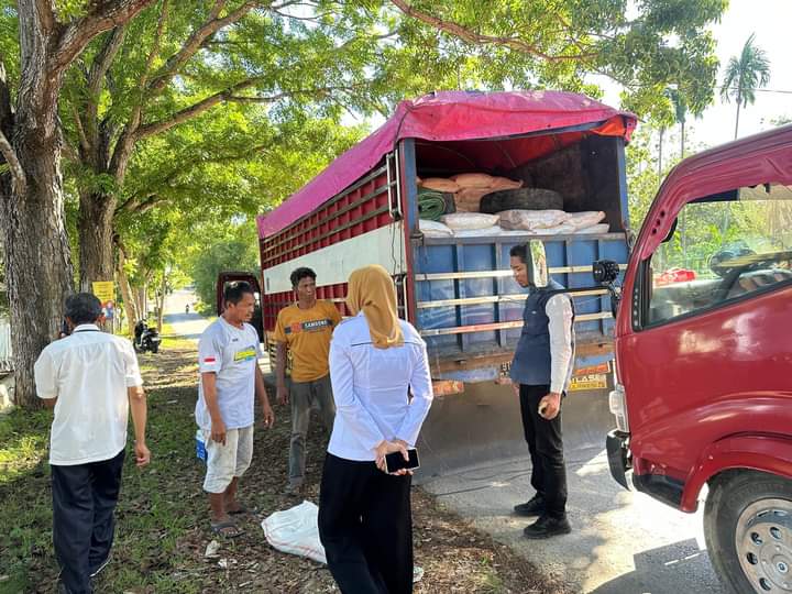 32 Ribu Ton Lebih Benih Jagung Kuning Mulai Didistribusikan di Muna