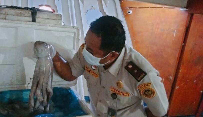 Balai Karantina Sultra Fokus Jaga Keamanan Pangan dan Peningkatan Ekonomi Masyarakat