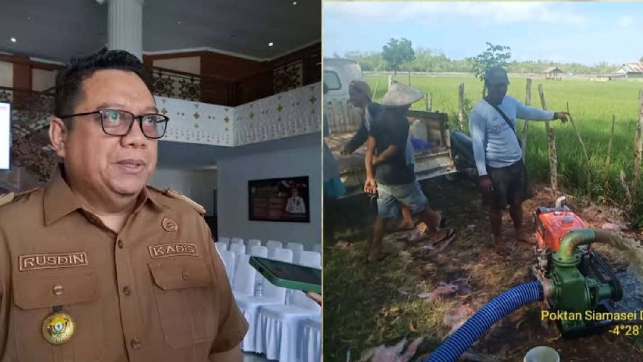 Distanak Sulawesi Tenggara Dorong Pengembangan Pertanian Melalui Program Prioritas