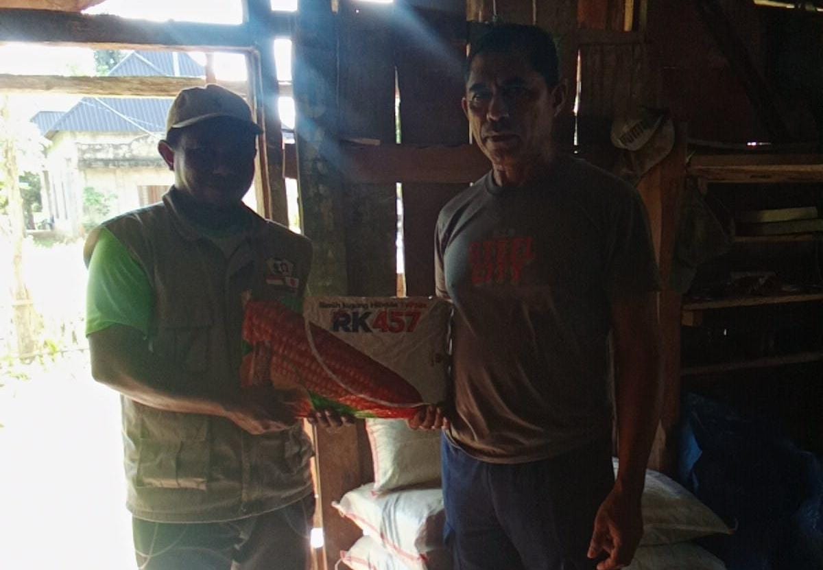 Kelompok Tani Muna Barat Terima 45 Ton Bibit Jagung Tahap Kedua