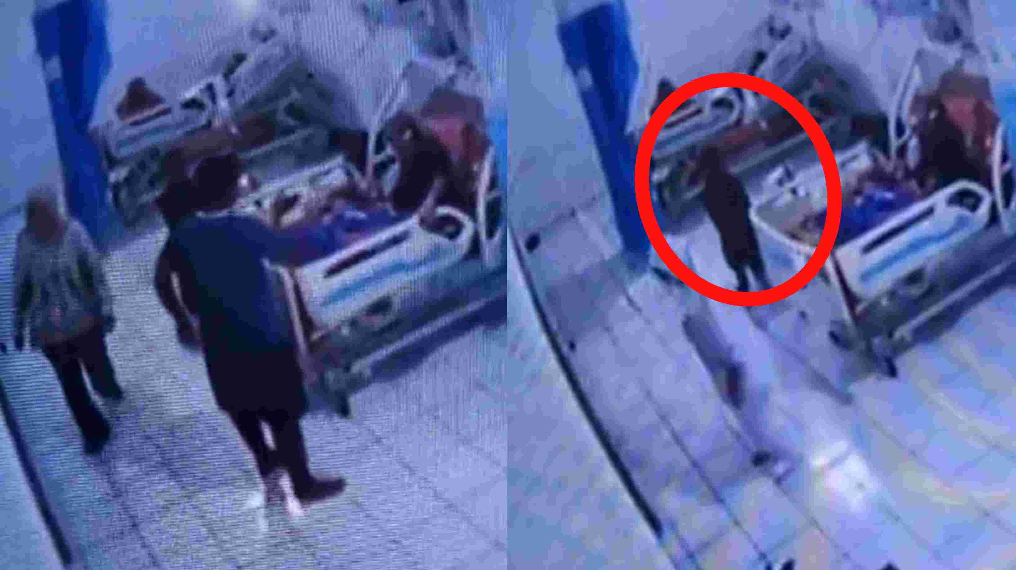 Penampakan Seram Hantu Anak Kecil Terekam CCTV Rumah Sakit, Netizen: Kepalanya Ilang Woy