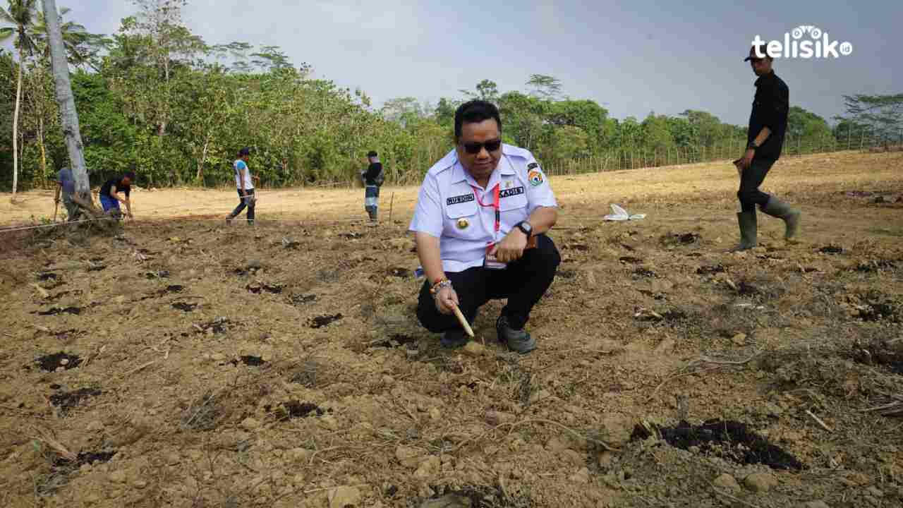 Sulawesi Tenggara Cetak 5.726 Hektare Sawah Baru di 2025