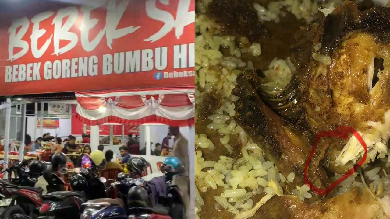 Ayam Goreng Bebek Sakti Kendari Berulat, Owner Akui Kelalaian