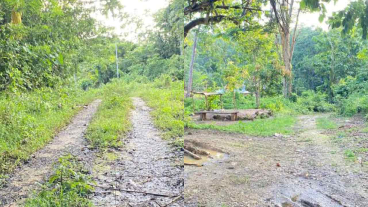 Berada di Desa Penghasil Aspal Buton, Jalan ke SMAN 6 Pasarwajo Terabaikan