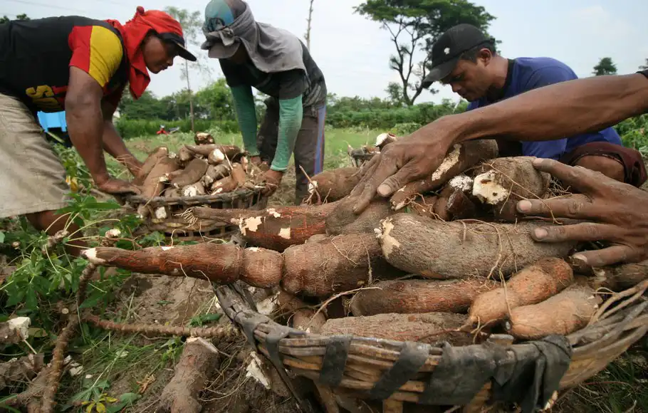 Kategori Barang dan Jasa Masuk PPN 12 Persen, Ini Daftar Lengkap Kebutuhan Masyarakat Bebas Potongan