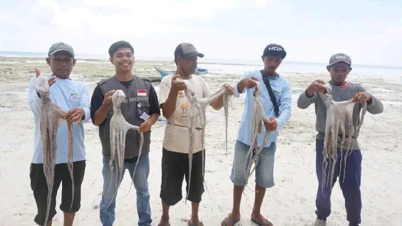 Mengenal Parimpari: Pembesaran Gurita Nelayan di Wangi-Wangi Wakatobi