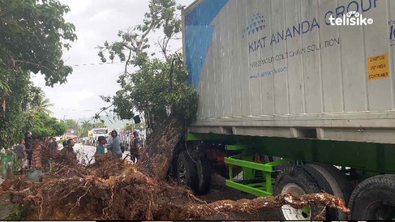 Pohon Tumbang Tutup Jalan Depan Rumah Sakit Umum Siloam Baubau