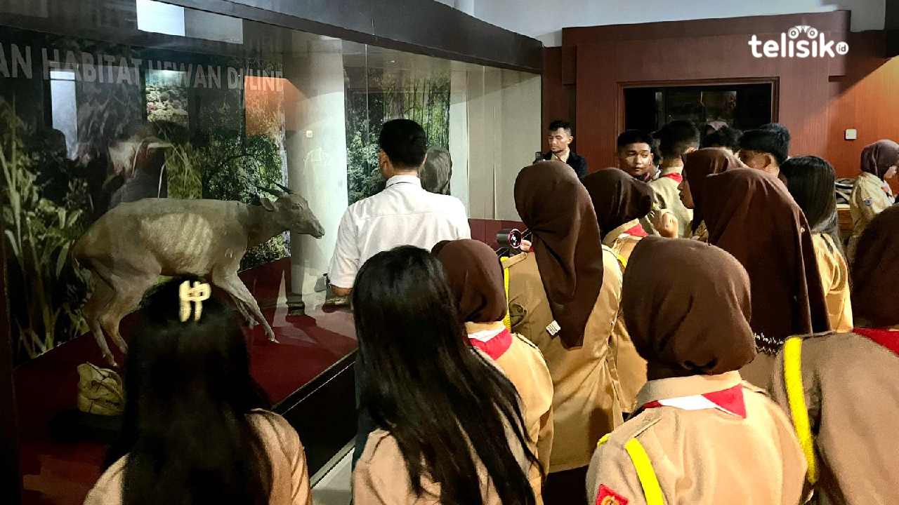 Pramuka SMA Negeri 1 Kendari Telusuri Jejak Sejarah dan Budaya di Museum Sulawesi Tenggara