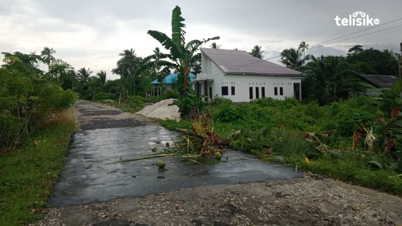 Badai Tumbangkan Pohon dan Tiang Listrik di Kaledupa Kabupaten Wakatobi