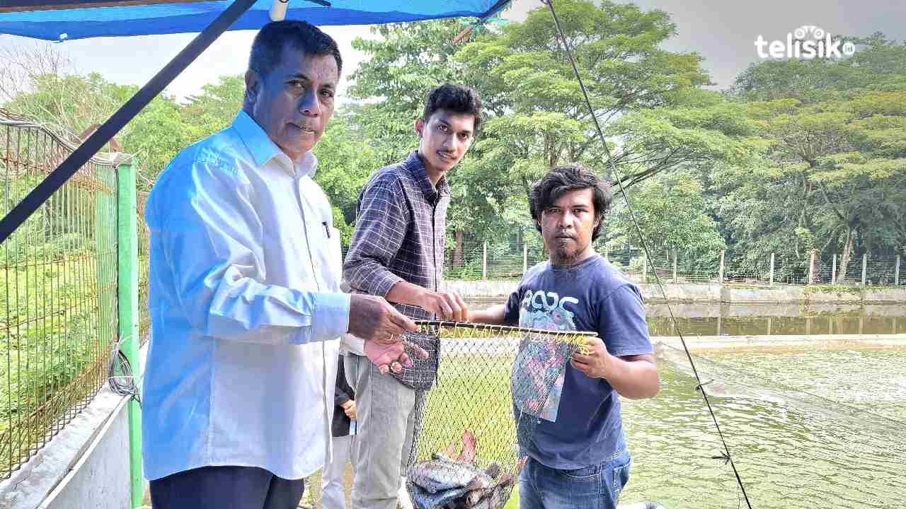 FPIK UHO Kendari Panen Ikan Hasil Budidaya Mahasiswa
