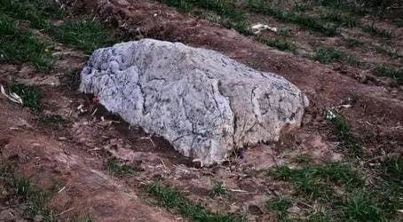 Jingshan, Gunung Terkecil di Dunia dengan Puncak Setinggi 60 Cm