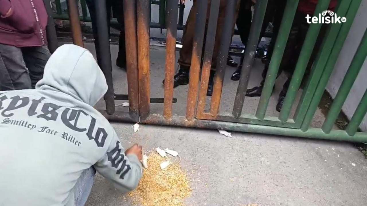 Mahasiswa Lepas Tikus di Kantor Kejati Sultra Desak Tindak Korupsi Tambang