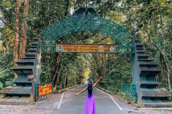 Mistik: Cerita Penunggu Alas Purwo Dijaga Sosok Gayatri, Salah Masuk Tak Bisa Keluar dari Dunia Gaib