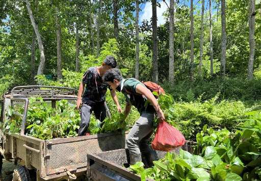 PT GKP Rehabilitasi DAS Seluas 743 Hektare pada Dua Kabupaten di Sultra