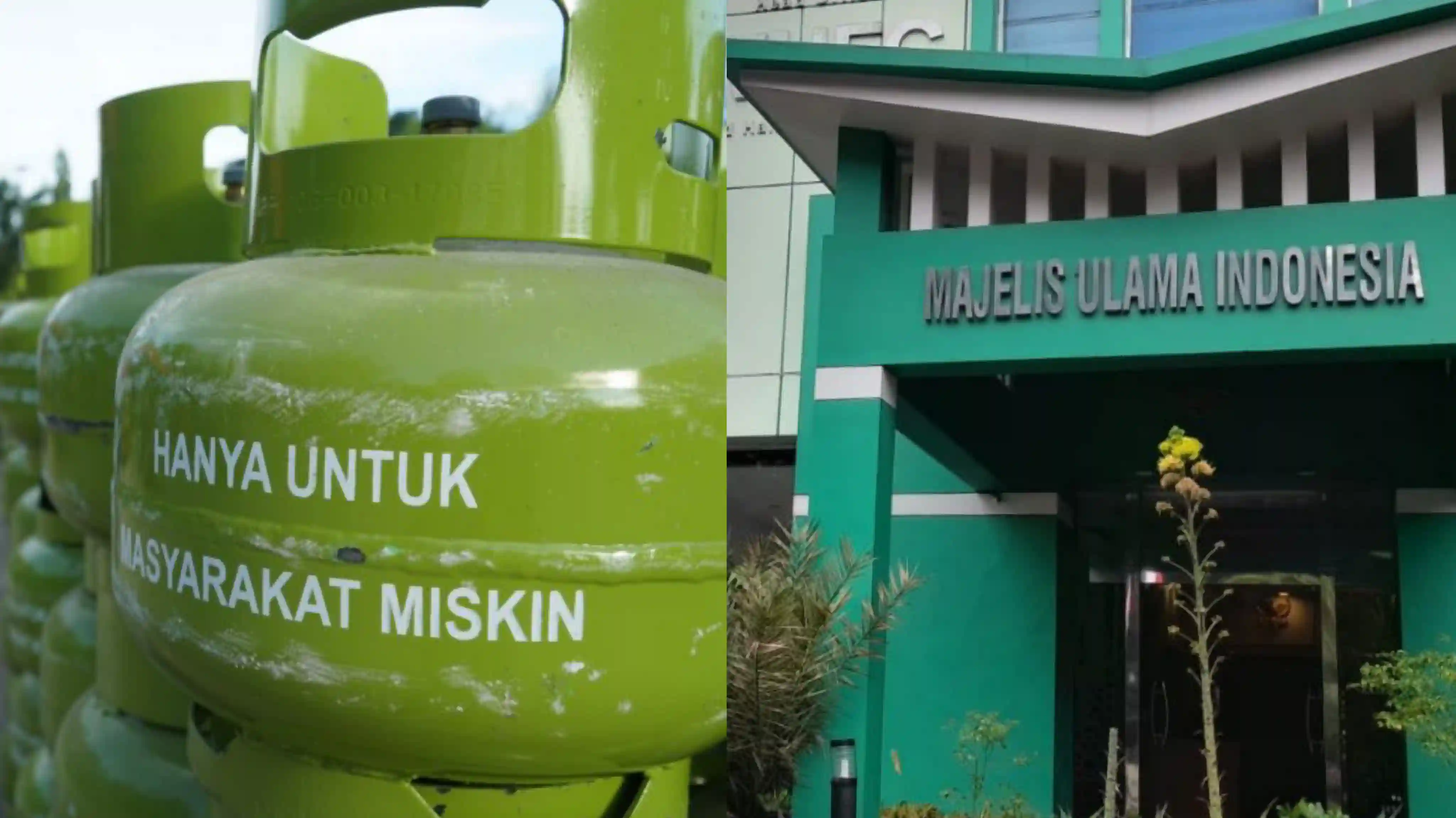 Tiga Dalil MUI Haramkan Gas Elpiji 3 Kilogram dan Pertalite Digunakan Orang Kaya