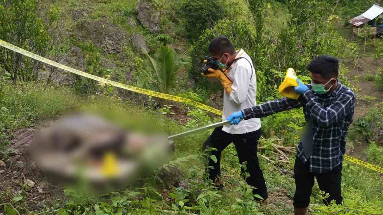 Warga Baubau Geger, Mayat Pria Membusuk di Lubang WC Kebun