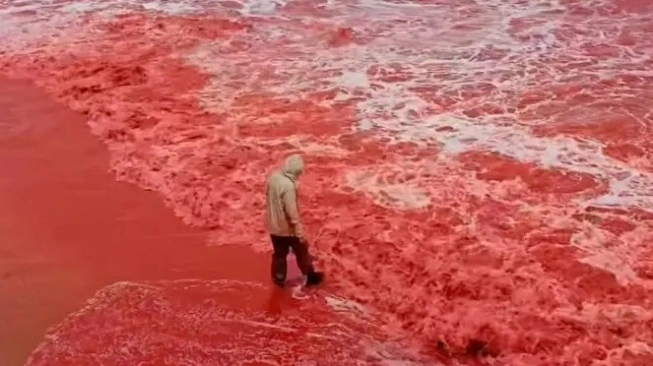 Hujan Darah di Iran: Pantai Hormuz Berubah Merah Menyala, Ini Penyebabnya