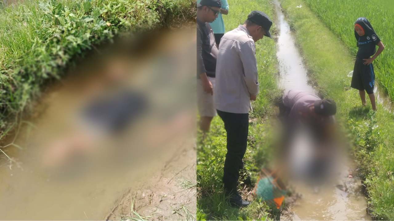 Ibu Muda Cari Keong Pagi, Siang Hari Ditemukan Tewas di Selokan Sawah Konawe Selatan