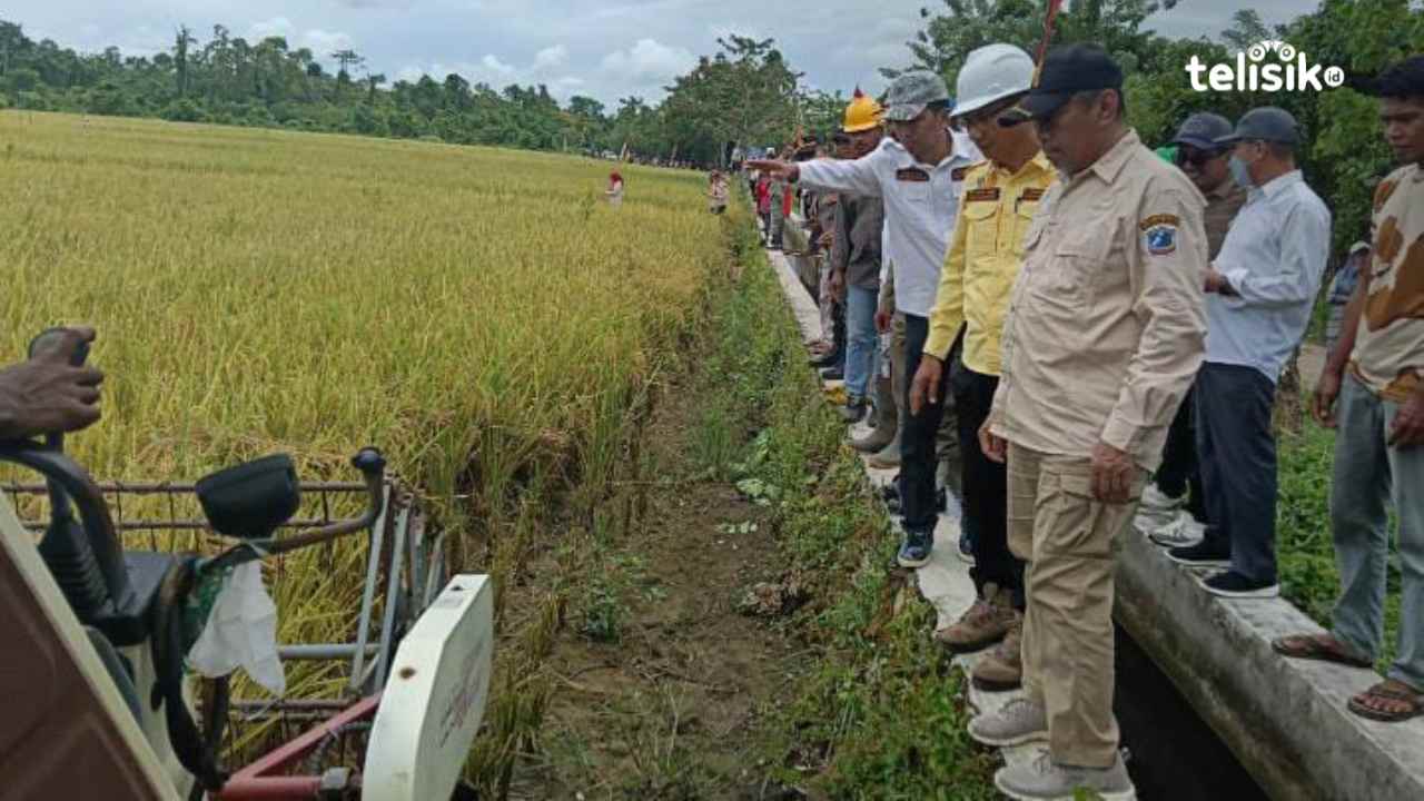 Jelang Lebaran Pemkab Muna Panen 15 Ton Padi Hasil BUMDes Tulus