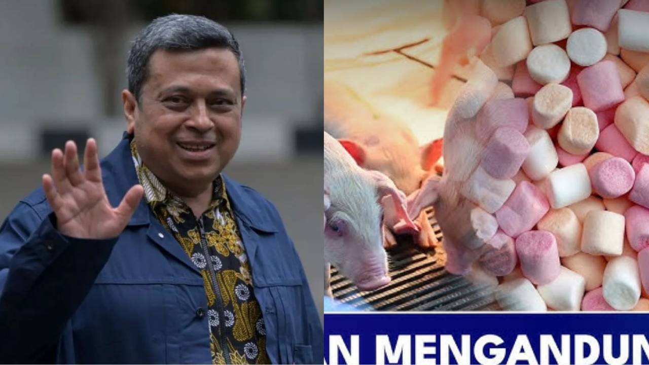 Heboh Makanan Mengandung Babi Label Halal Beredar di Pasaran Tanah Air, Ini Daftarnya