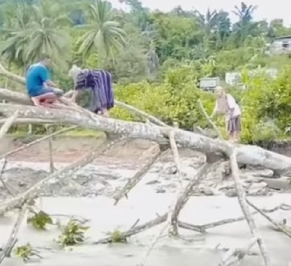 Jembatan Ambruk, Emak-emak di Kolaka Utara Nekat Panjat Pohon Seberangi Sungai